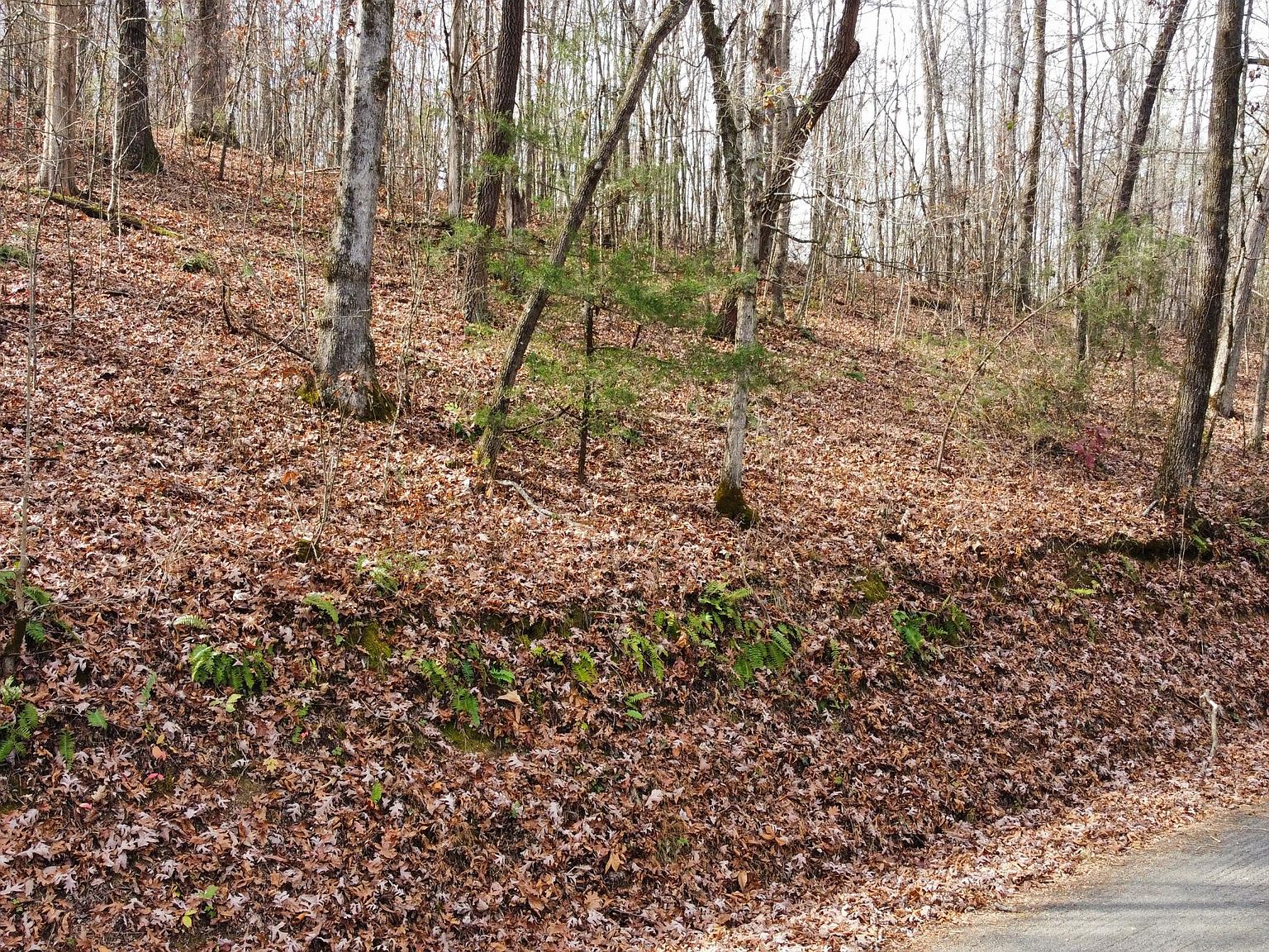 0 Wooten Rd, Delano, TN 37325 Zillow