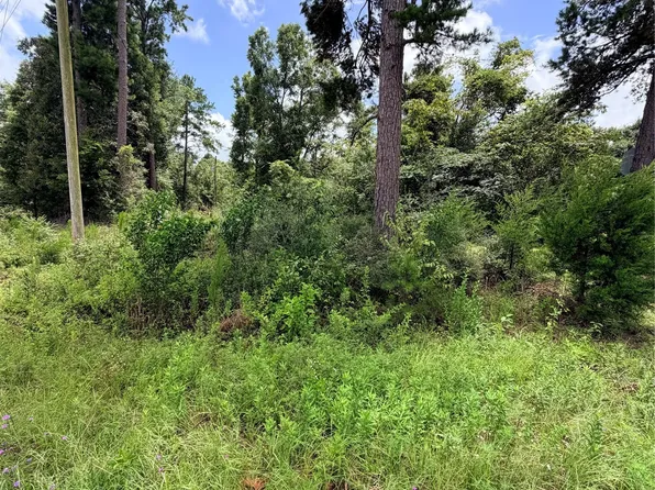 Scott Dr, Elba, AL 36323