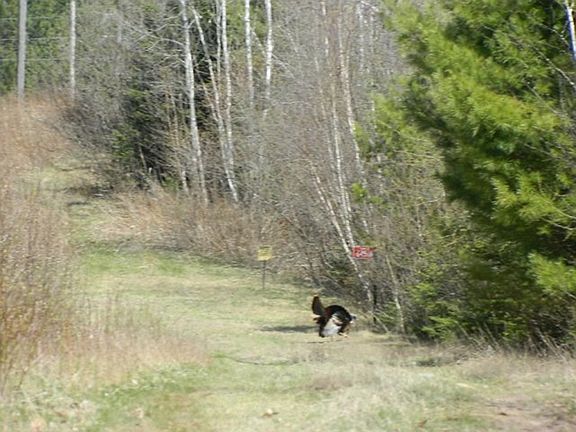 4th image of ON N Knapp Road
