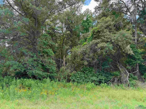 79 Tbd Hwy S, Henderson, TX 75654