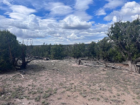 4th image of 20 Horseshoe Cir