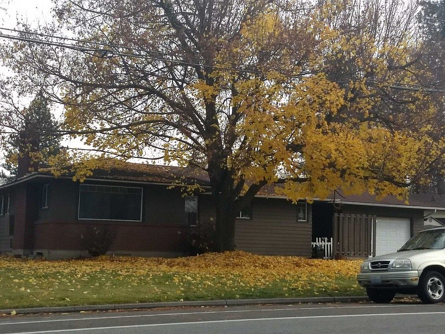 1st image of 4124 N Driscoll Blvd