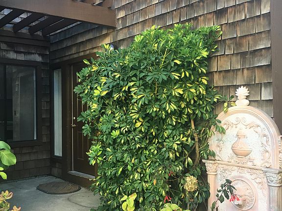 Front entrance