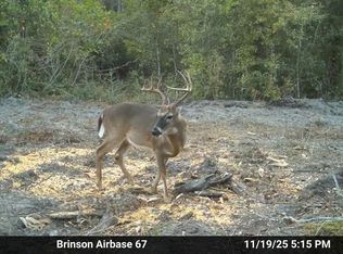 Brinson Airbase Rd, Brinson, GA 39825