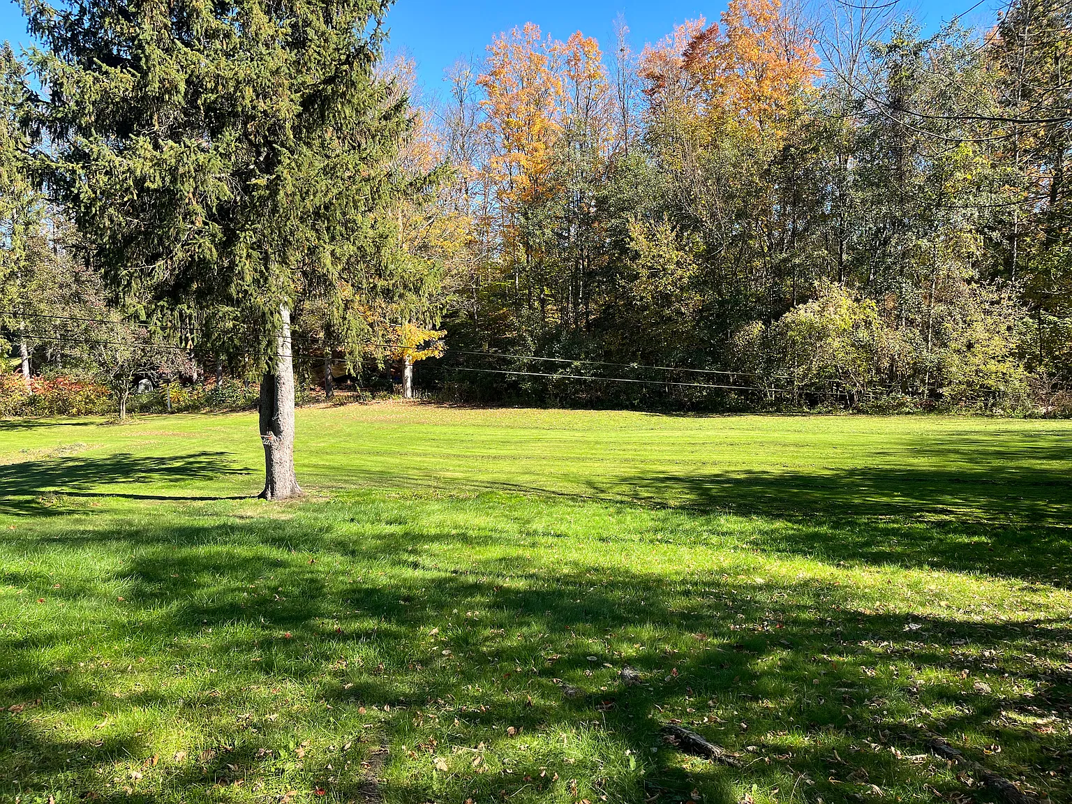 2 bed, 1.5 bath, 1100 sqft, $1,950 — Photo 4