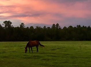 1882 Pleasant Hill Rd, Bonifay, FL 32425