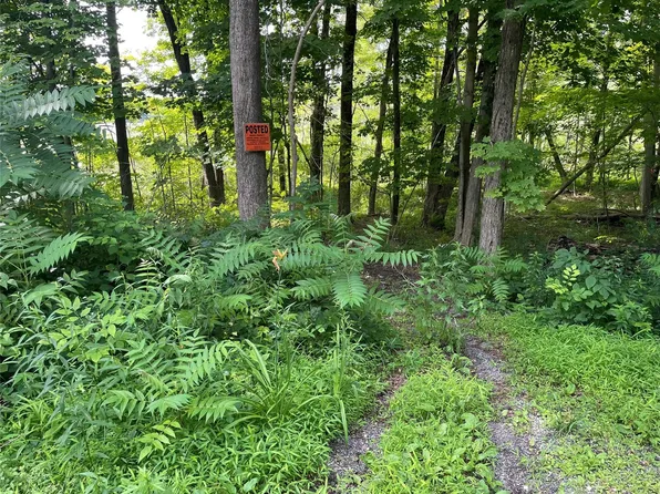 0 Fiddler's Bridge/Schoolhouse Rd, Clinton Corners, NY