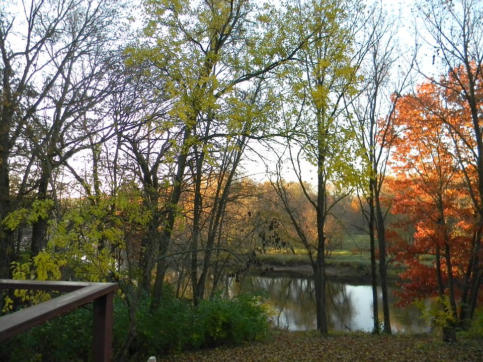 2nd image of 4449 Downhill Rd