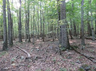 0 Berties Bottom Ln, New Castle, VA 24127