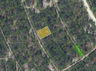 369 Concert Dr, Lake Placid, FL 33852