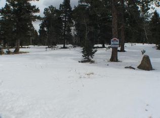 12978 Piano Meadows Dr, Conifer, CO 80433