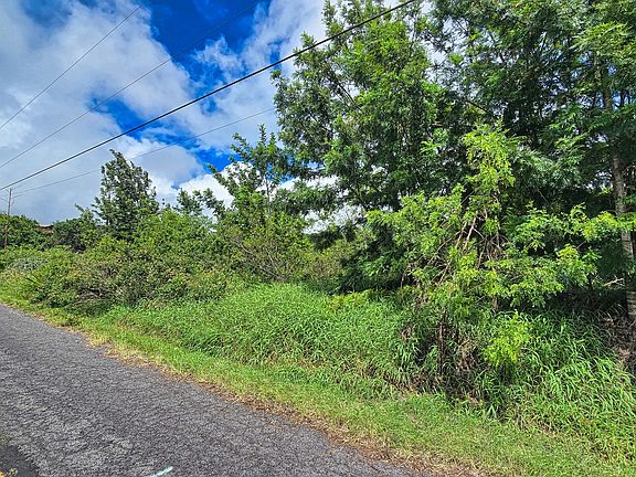 2nd image of Bamboo Ln Lot 13