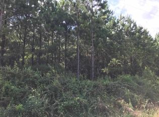 0 Caraway Rd, Red Level, AL 36474