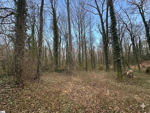 3rd image of 0 Red Berry Ln Tract E