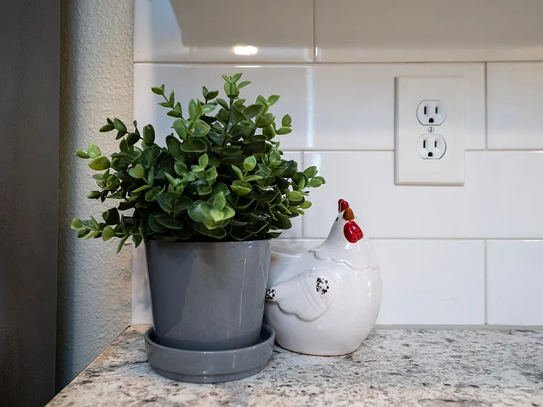 10612 Savannah Wood Dr — Photo 8