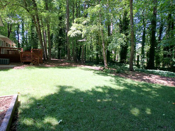 Lush fenced backyard