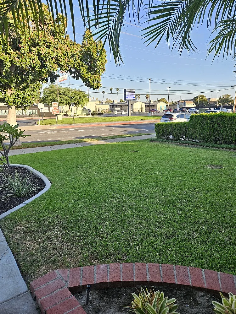 Studio, 400 sqft, $2,200 — Photo 2