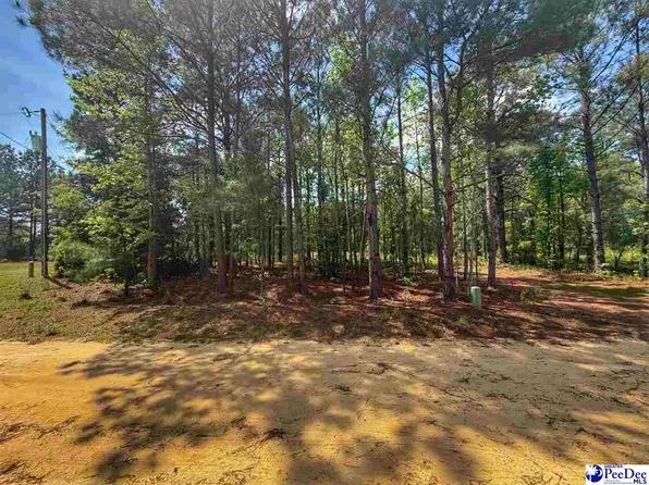 Zachary Ct, Latta, SC 29565