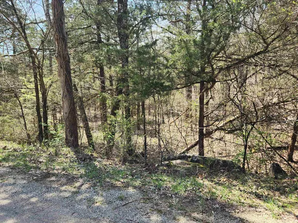 L-19-B Ouachita Rd #9, Cherokee Village, AR 72529