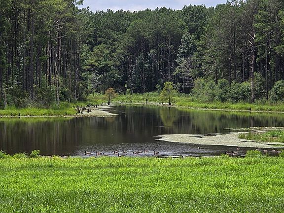 4th image of 186 New Arbor Rd W