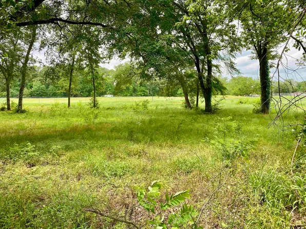 LOT 3 Browning St, Brownsboro, TX 75756