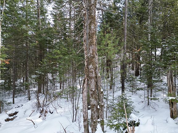 3rd image of 12 Falcon Ridge