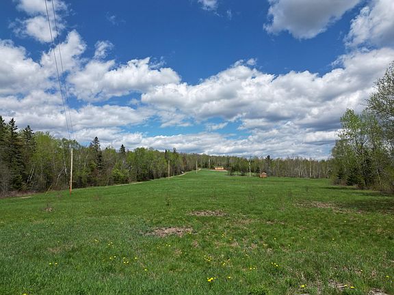 4th image of 141 Schillinger Road