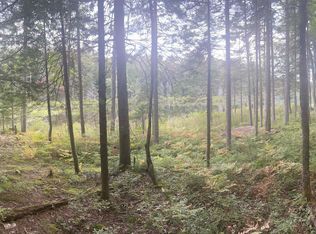 120 Halfmoon Pond Rd, Grafton, NH 03240