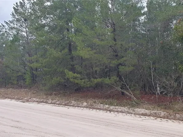 NE 10th St Lot 6, Williston, FL 32696