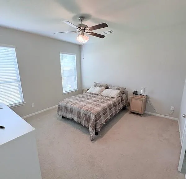 341 Emerald Thicket Ln — Photo 8