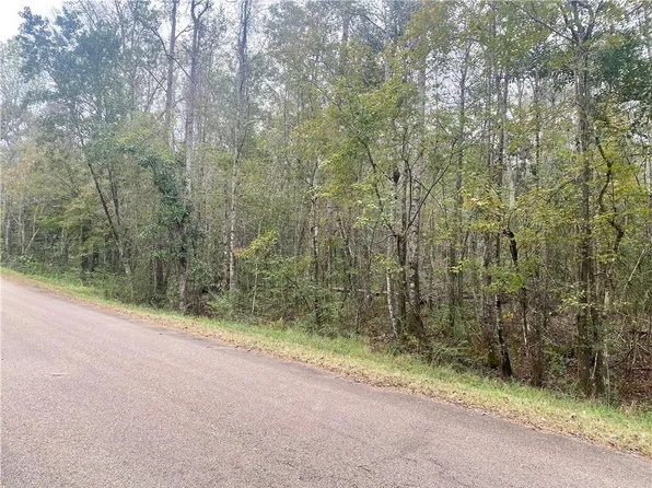 Hialeah Dr, Bush, LA 70431