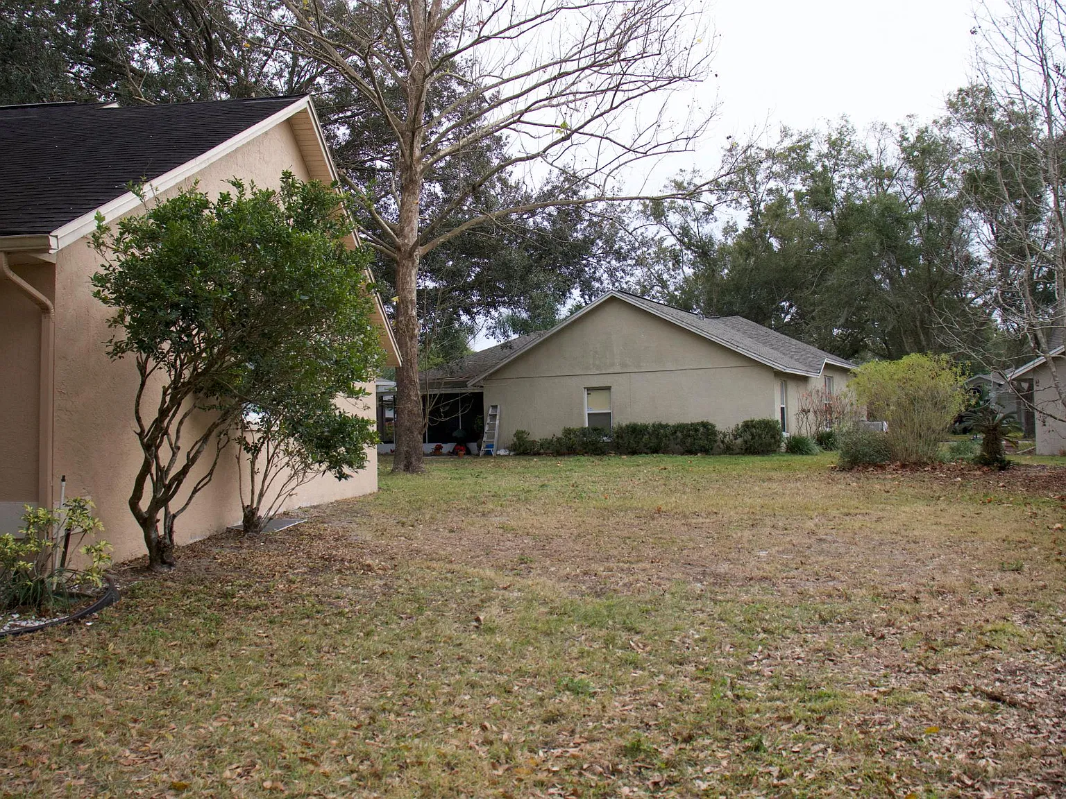 2446 Cricket Wood Ct — Photo 4