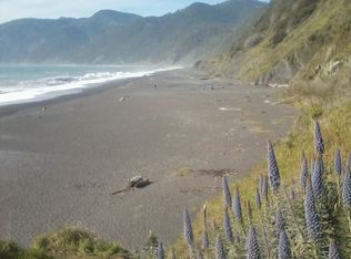 1058 Puma Dr, Whitethorn, CA 95589