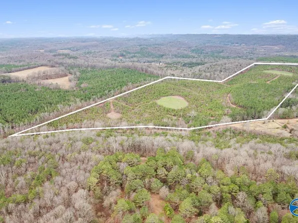 1 County Road 288, Collinsville, AL 35961