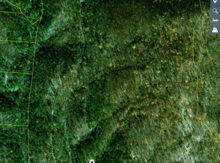 Skaggs Hollow Rd, Tazewell, TN 37879