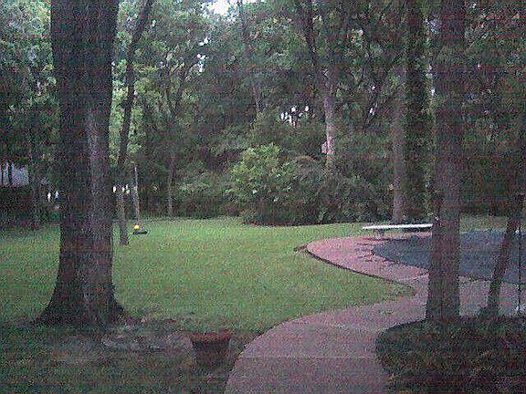 Back Porch View