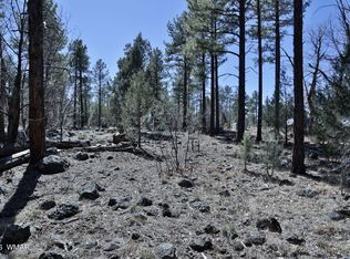1030 W Big Springs Trl, Lakeside, AZ 85929