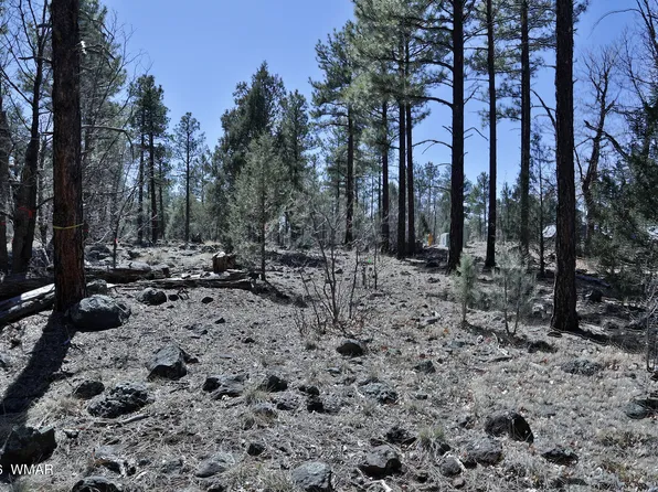 1030 W Big Springs Trl, Lakeside, AZ 85929