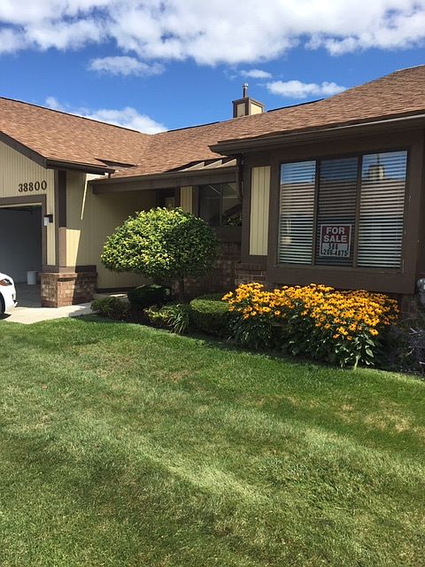 Front yard 38800 Windmill Pt