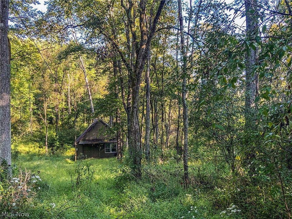 0 Rock Hill Pike, Flushing, OH 43977 Zillow