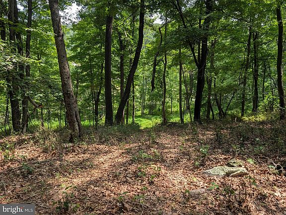 5th image of Sir Johns Run Rd