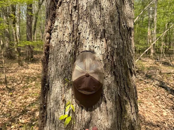 County Road 311, Enterprise, MS 39330