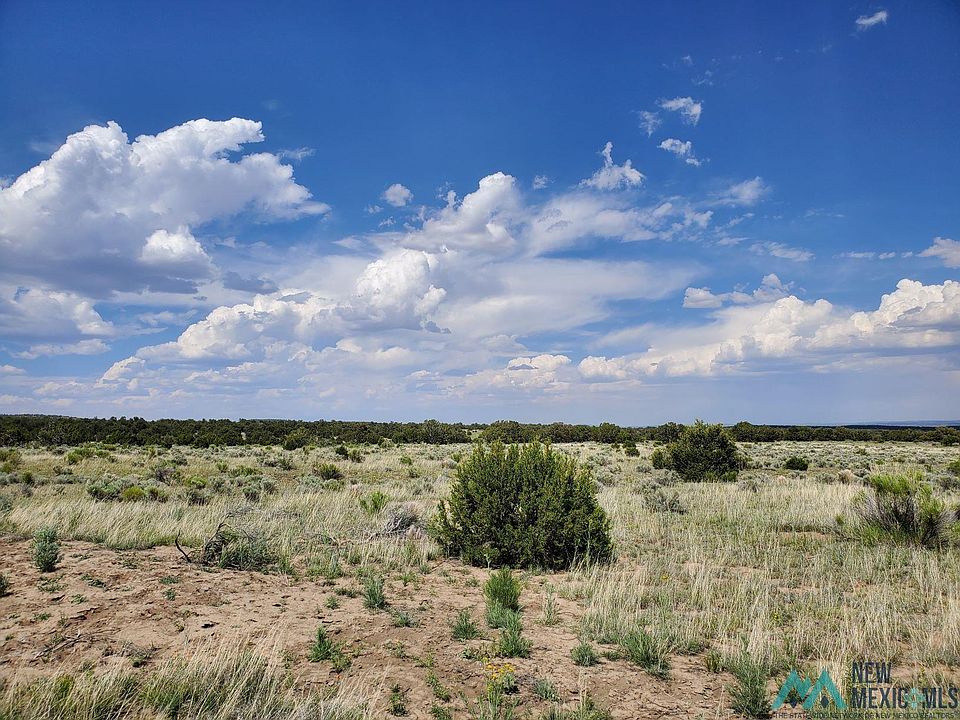 Pinon Trails Cir, Pie Town, NM 87827 MLS 20230634 Zillow