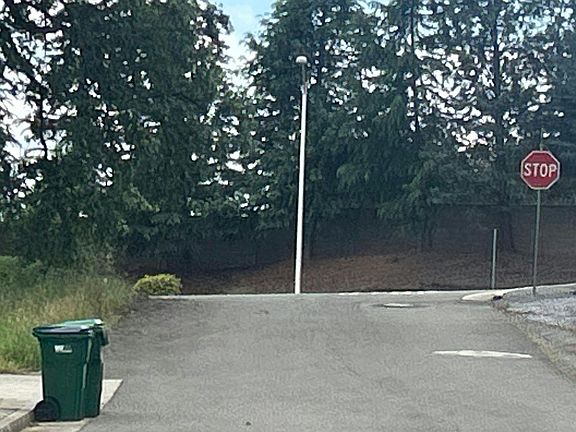 4th image of 2593 Smith Ave