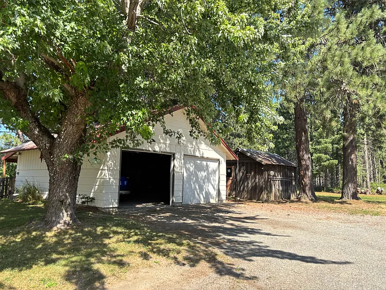 10239 Baldy Mountain Rd — Photo 20