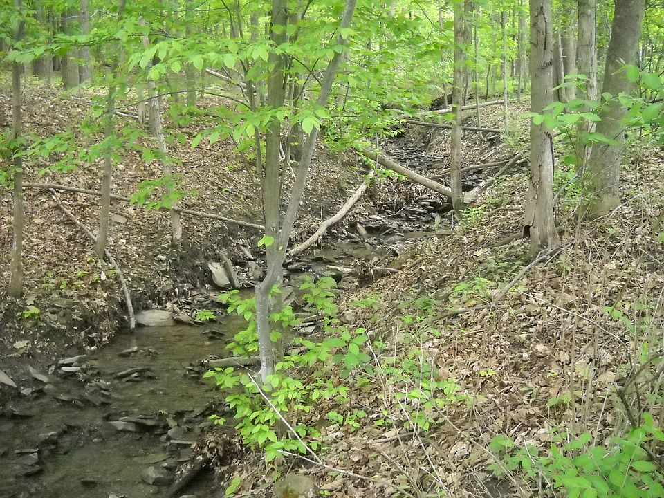 2nd image of 279 Fisher Settlement Road - Lot F