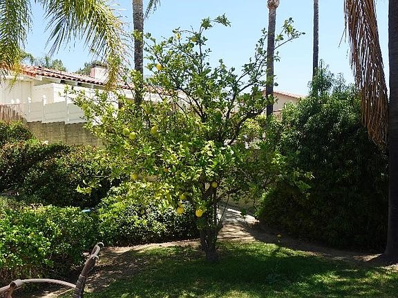 5th image of 2534 Vista Dr