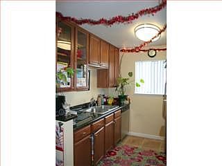 3rd image of 844 Catkin Ct