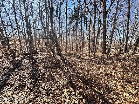 3rd image of 202 Doe Valley Pkwy E