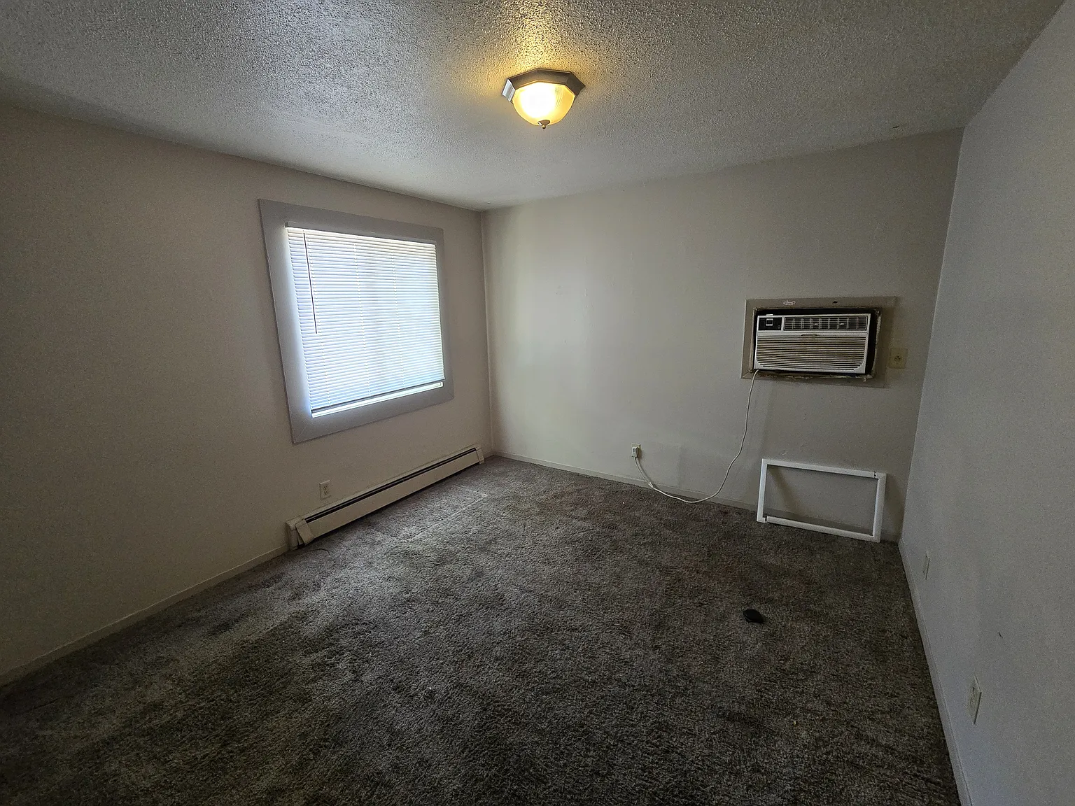 3 bed, 780 sqft, $1,200 — Photo 3